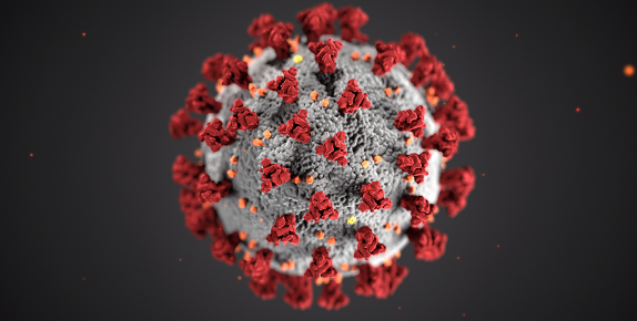 coronavirus4